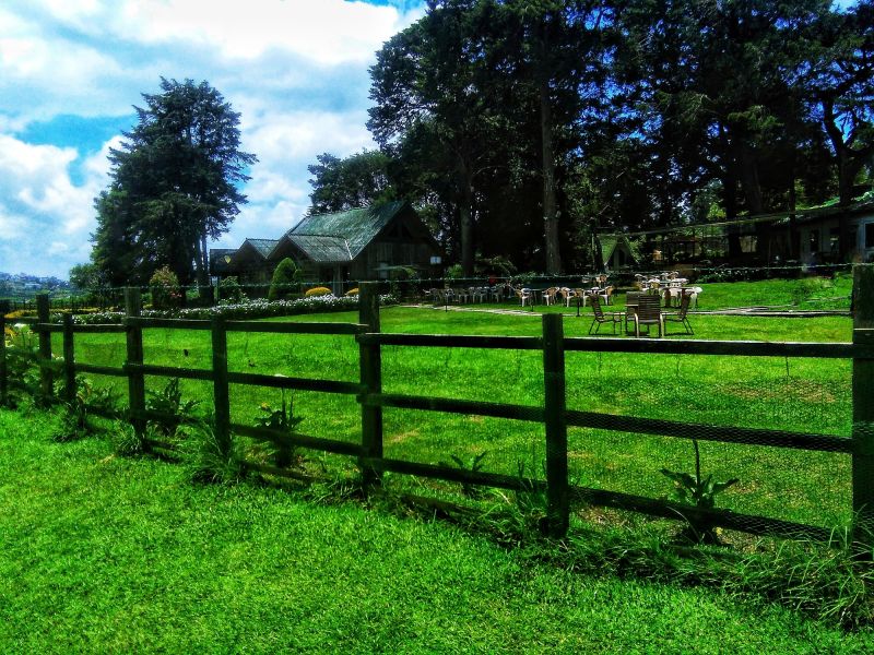 Finished Wooden Fence